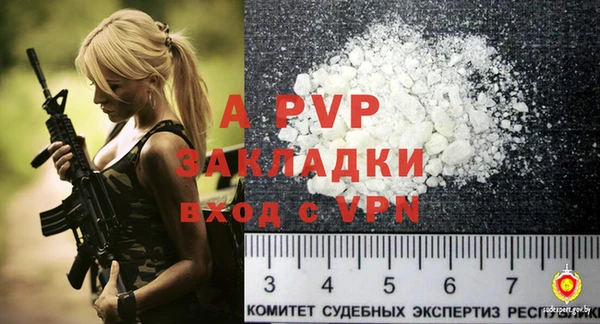 крисы Абаза