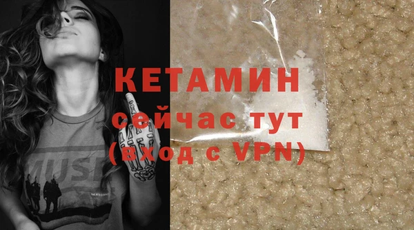 крисы Абаза