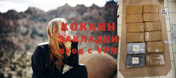 крисы Абаза