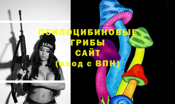 прущие грибы Алексин