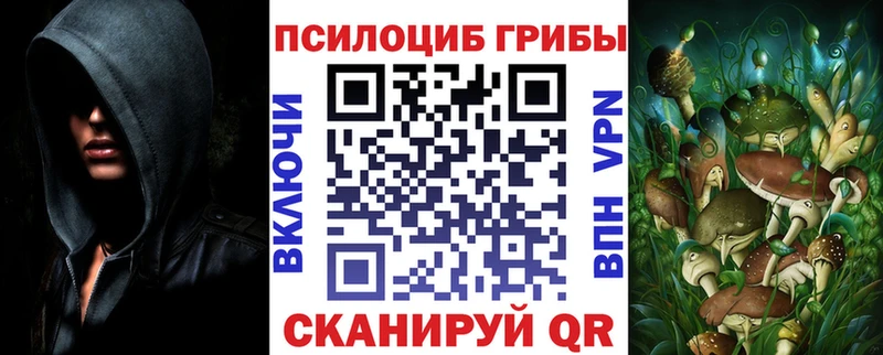 Галлюциногенные грибы Psilocybe  Усолье-Сибирское 